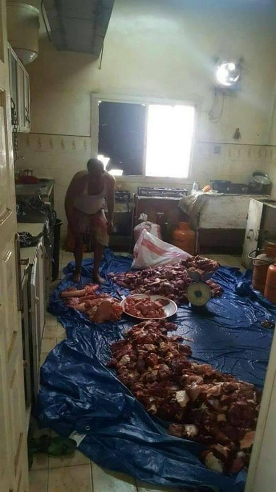 فضيحة: مطعم لقيادي مرتزق في مارب يقدم لزبائنه كبسات لحم الحمير والكلاب “شاهد بالصور”