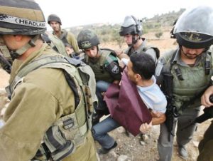 قوات العدو الصهيوني تعتقل 13 فلسطينياً