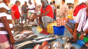 تحقيق لرويترز يسلط الضوء على نهب الثروة السمكية وتهريبها إلى السعودية مع ارتفاع أسعار الأسماك في عدن